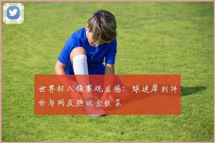 世界杯八强赛观后感：球迷犀利评价与网友热议全收录