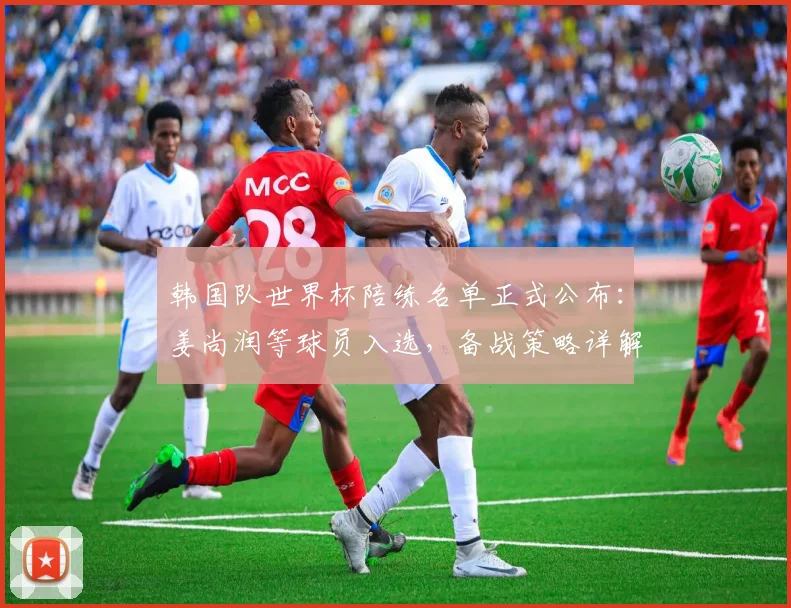 韩国队世界杯陪练名单正式公布：姜尚润等球员入选，备战策略详解